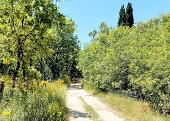 Building land C.da Colle Palumbo, Isernia - photo 5