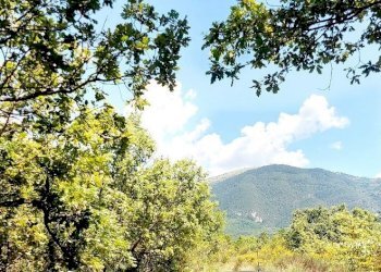 Building land C.da Colle Palumbo, Isernia - photo 6