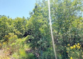 Building land C.da Colle Palumbo, Isernia - photo 8