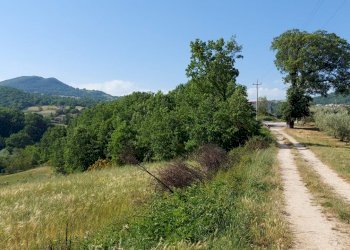 Terreno edificabile C.da Salietto, Isernia - foto 9