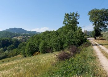Terreno edificabile C.da Salietto, Isernia - foto 12