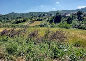 Terreno edificabile C.da Salietto, Isernia - foto 13