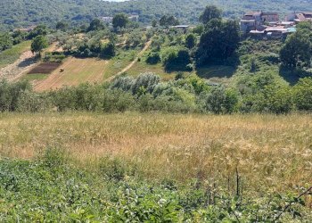Terreno edificabile C.da Salietto, Isernia - foto 16