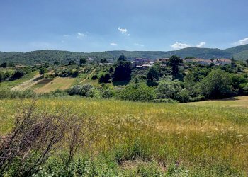 Terreno edificabile C.da Salietto, Isernia - foto 19