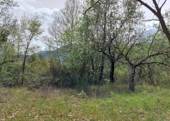 Terreno edificabile C.da Venditti, Fornelli - foto 3