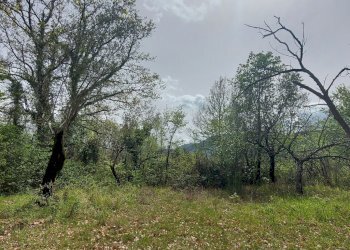 Terreno edificabile C.da Venditti, Fornelli - foto 5