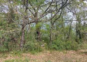 Terreno edificabile C.da Venditti, Fornelli - foto 6