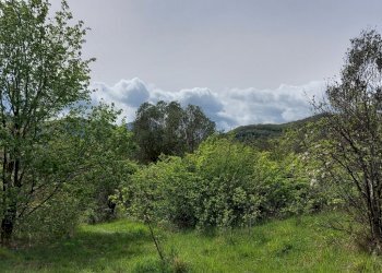 Terreno edificabile C.da Venditti, Fornelli - foto 8