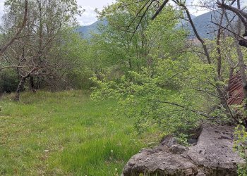 Terreno edificabile C.da Venditti, Fornelli - foto 12