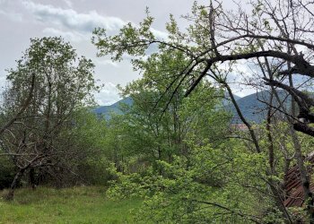 Terreno edificabile C.da Venditti, Fornelli - foto 13