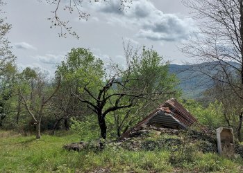 Terreno edificabile C.da Venditti, Fornelli - foto 14