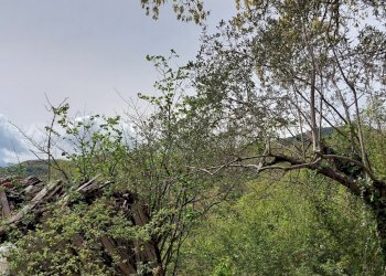 Terreno edificabile C.da Venditti, Fornelli - foto 17