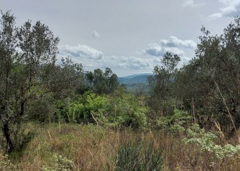 Terreno edificabile C.da Venditti, Fornelli - foto 23