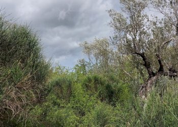 Terreno edificabile C.da Venditti, Fornelli - foto 24