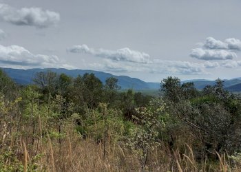 Terreno edificabile C.da Venditti, Fornelli - foto 27