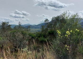 Terreno edificabile C.da Venditti, Fornelli - foto 28
