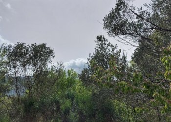 Terreno edificabile C.da Venditti, Fornelli - foto 30