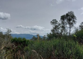 Terreno edificabile C.da Venditti, Fornelli - foto 31