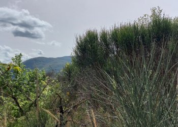 Terreno edificabile C.da Venditti, Fornelli - foto 34