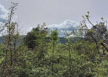 Terreno edificabile C.da Venditti, Fornelli - foto 35