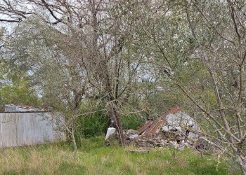 Terreno edificabile C.da Venditti, Fornelli - foto 36