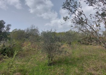 Terreno edificabile C.da Venditti, Fornelli - foto 39