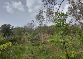 Terreno edificabile C.da Venditti, Fornelli - foto 41