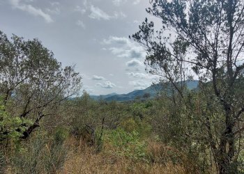 Terreno edificabile C.da Venditti, Fornelli - foto 46