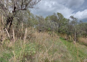 Terreno edificabile C.da Venditti, Fornelli - foto 50