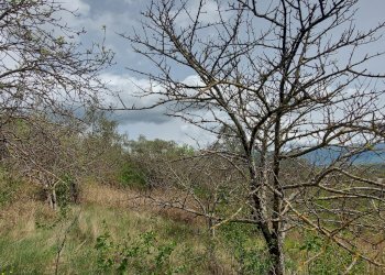 Terreno edificabile C.da Venditti, Fornelli - foto 51