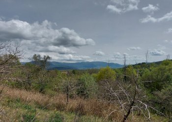 Terreno edificabile C.da Venditti, Fornelli - foto 52