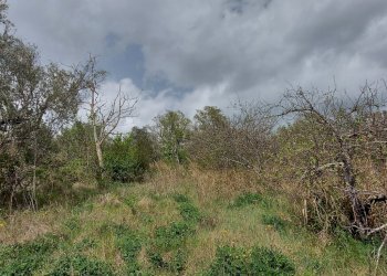 Terreno edificabile C.da Venditti, Fornelli - foto 53