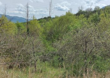 Terreno edificabile C.da Venditti, Fornelli - foto 54