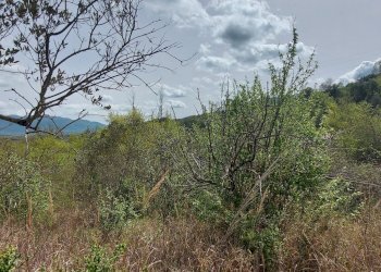 Terreno edificabile C.da Venditti, Fornelli - foto 60