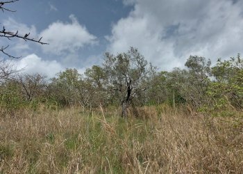 Terreno edificabile C.da Venditti, Fornelli - foto 61