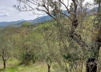 Terreno edificabile C.da Venditti, Fornelli - foto 78