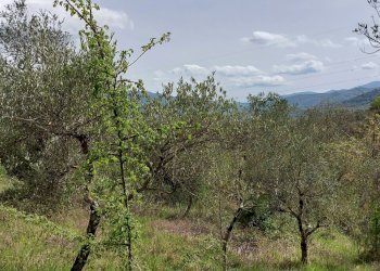 Terreno edificabile C.da Venditti, Fornelli - foto 79