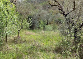 Terreno edificabile C.da Venditti, Fornelli - foto 80