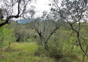 Terreno edificabile C.da Venditti, Fornelli - foto 81