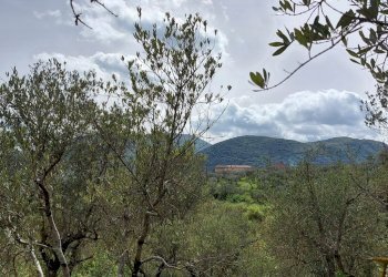 Terreno edificabile C.da Venditti, Fornelli - foto 86