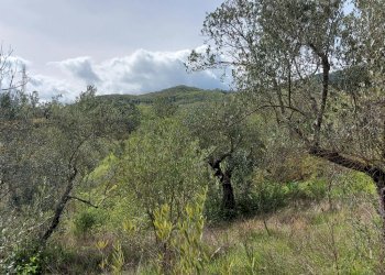 Terreno edificabile C.da Venditti, Fornelli - foto 87