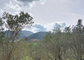 Terreno edificabile C.da Venditti, Fornelli - foto 89