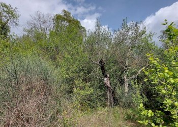 Terreno edificabile C.da Venditti, Fornelli - foto 93