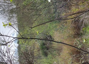 Terreno edificabile C.da Venditti, Fornelli - foto 96