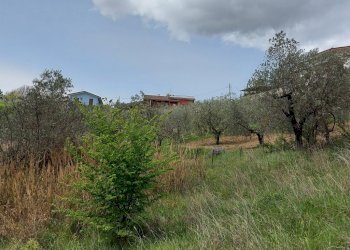 Terreno agricolo C.da Madonna delle Grazie, Fornelli - foto 4