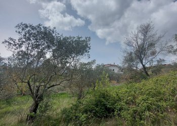 Terreno agricolo C.da Madonna delle Grazie, Fornelli - foto 24