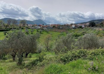Terreno agricolo C.da Madonna delle Grazie, Fornelli - foto 26
