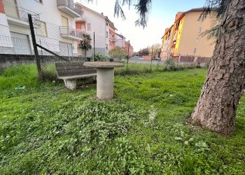 Trilocale Nizza Monferrato - foto 21