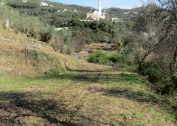 Terreno - Rustico via Padre Giuseppe Mazzino, 177, Cogorno - foto 6