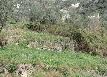 Terreno - Rustico via Padre Giuseppe Mazzino, 177, Cogorno - foto 7